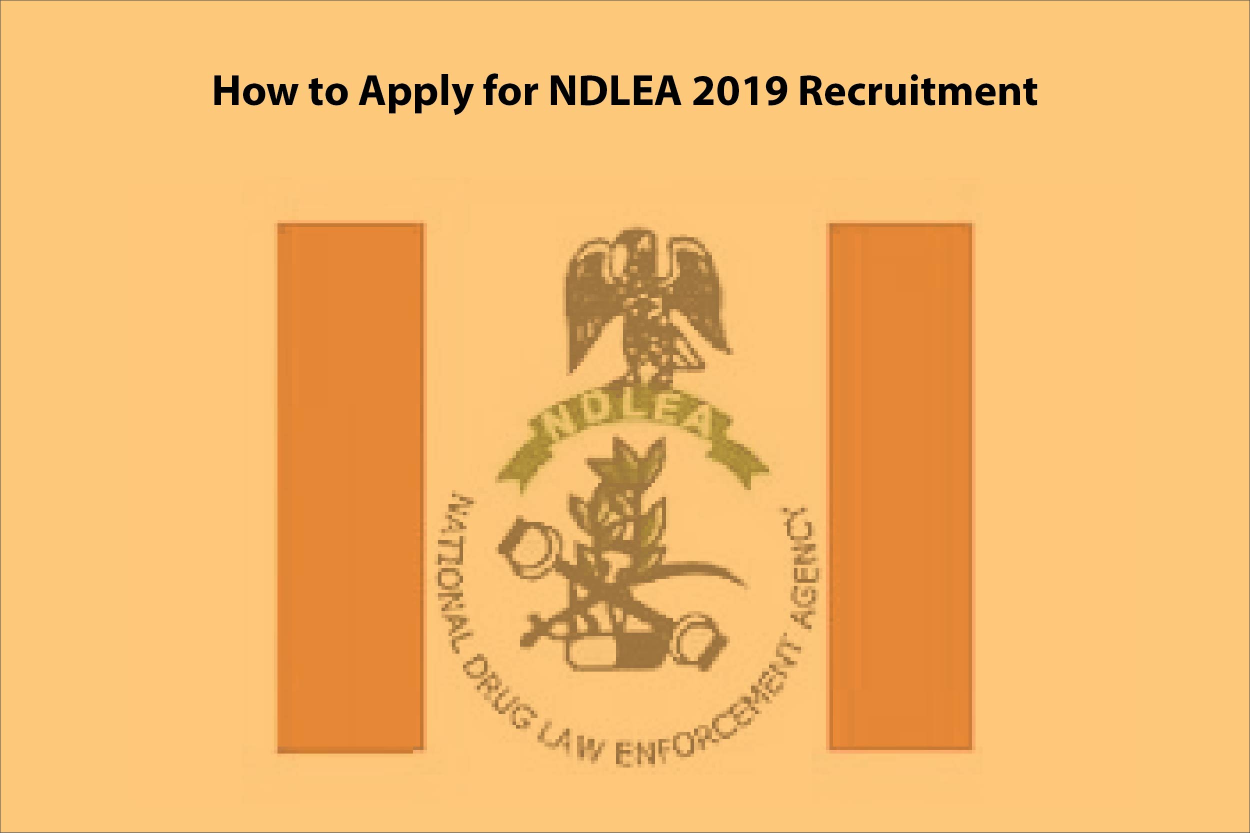 How to Apply for NDLEA 2019 Recruitment